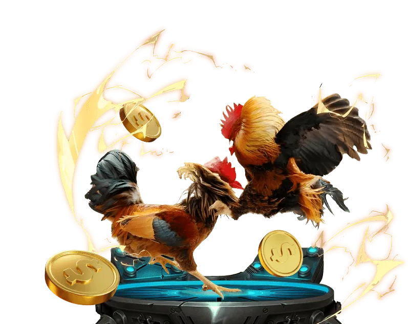 Nền tảng an toàn và công bằng 911 Casino